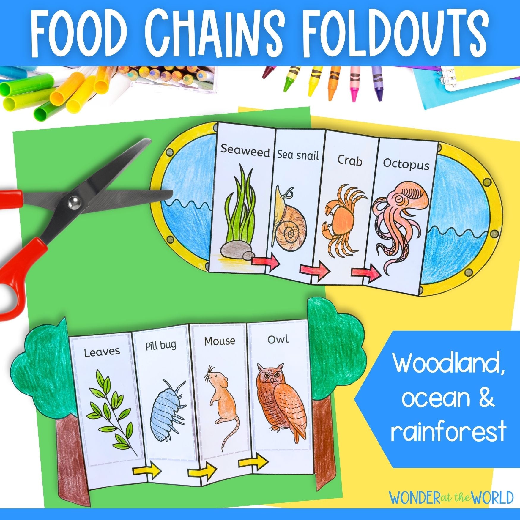 Food chains sequence and fold craft activity woodland ocean rainforest habitats