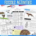 Fossils worksheets, activities, sorting, types of fossil