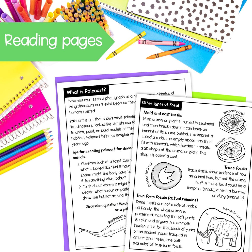Fossils worksheets, activities, sorting, types of fossil