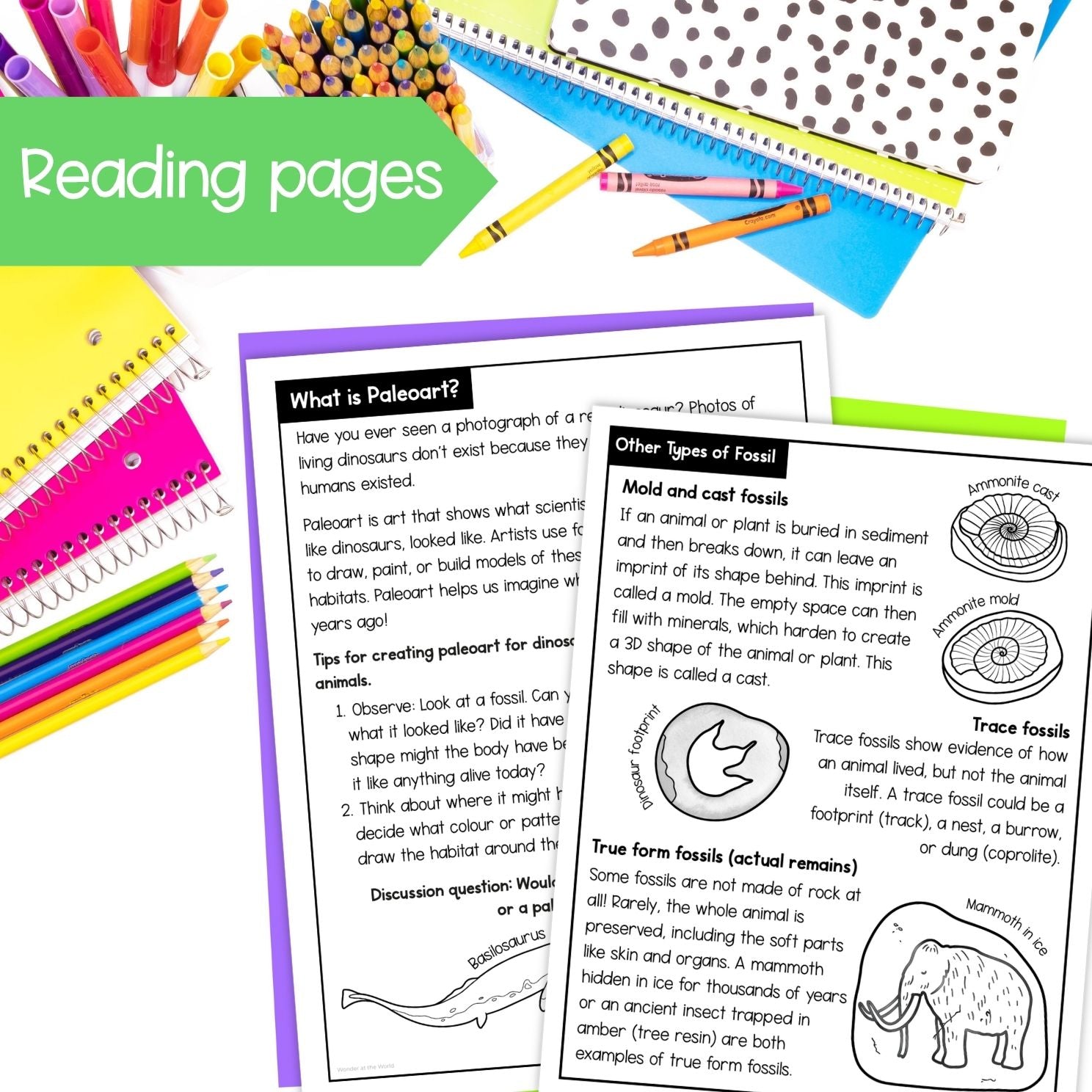 Fossils worksheets, activities, sorting, types of fossil