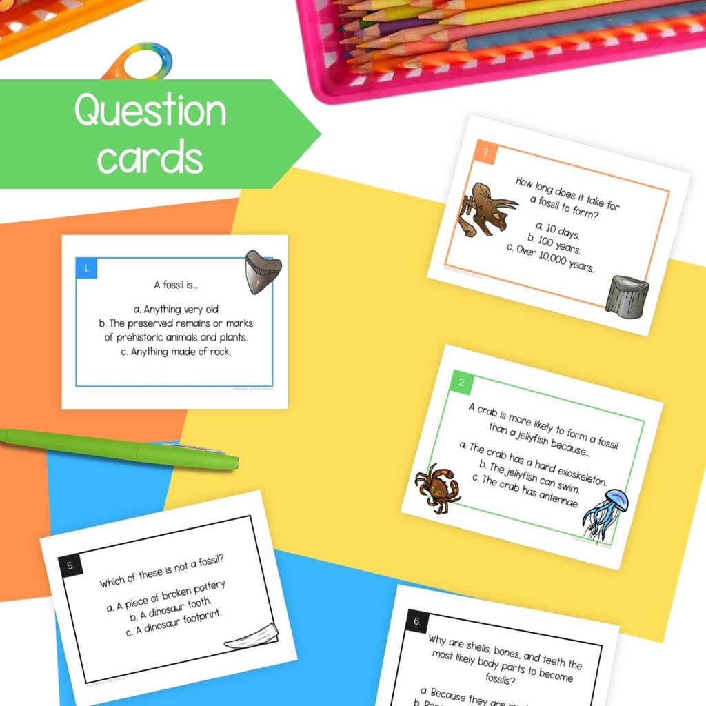 Fossils worksheets, activities, sorting, types of fossil