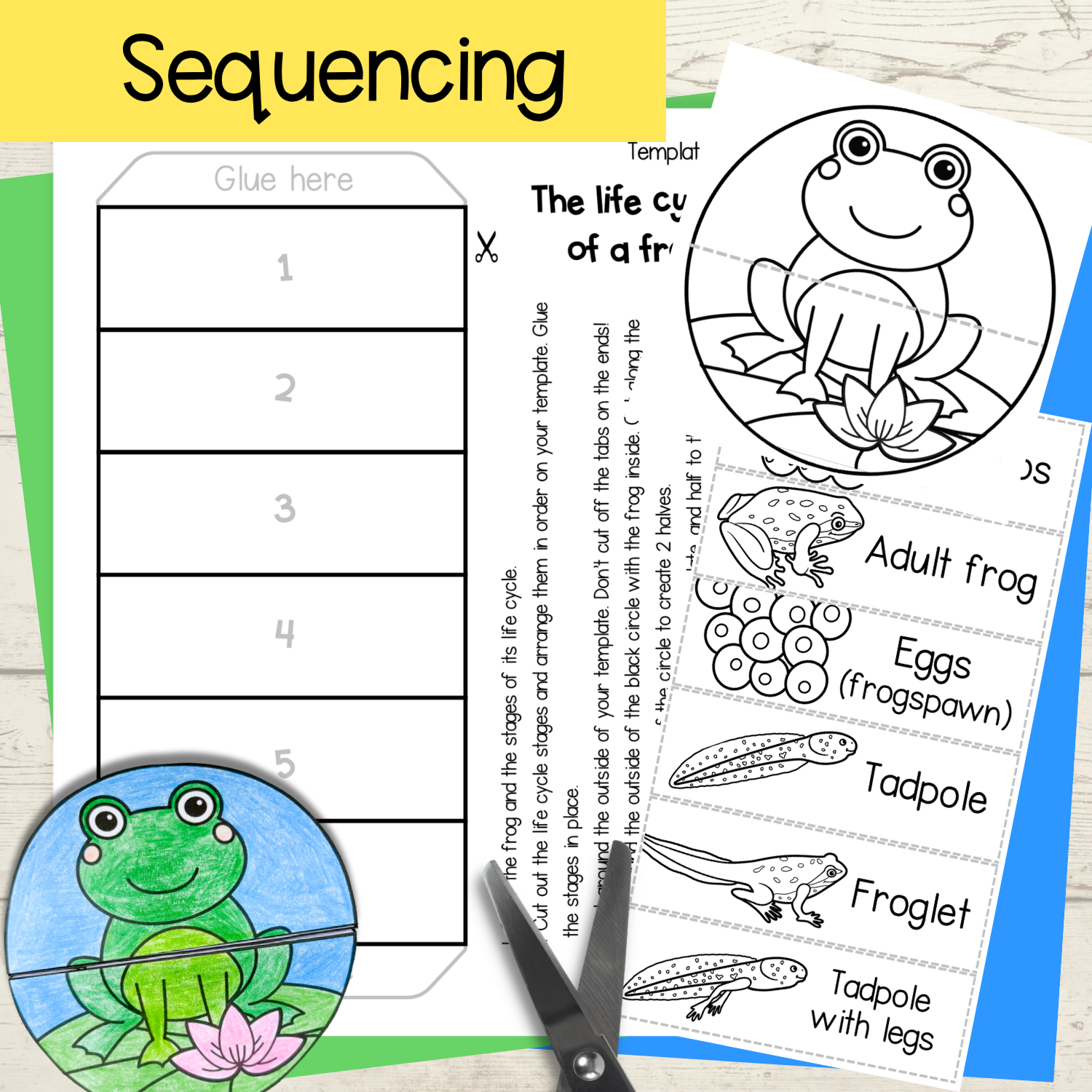 Frog life cycle sequence and fold science craft activity