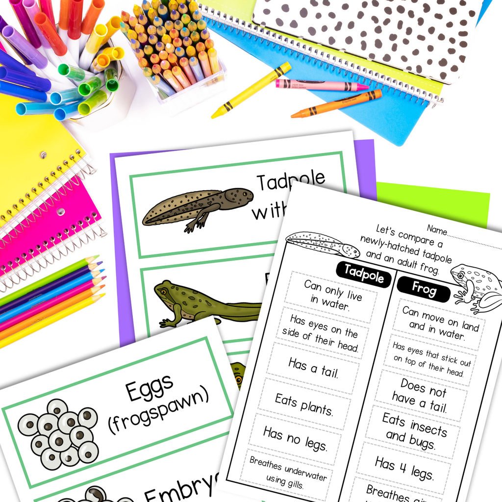 Frog life cycle sequence and fold science craft activity