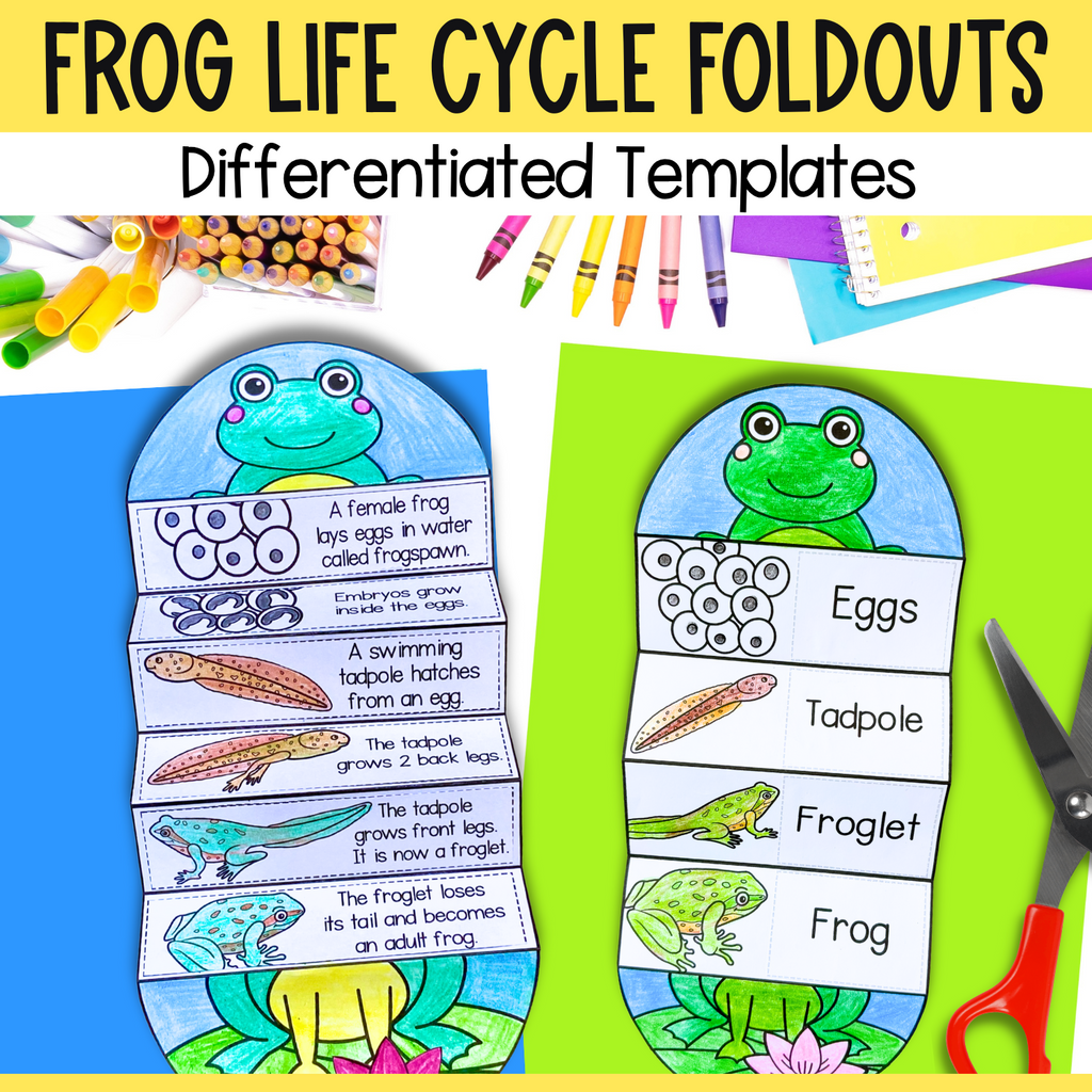 Frog life cycle sequence and fold science craft activity