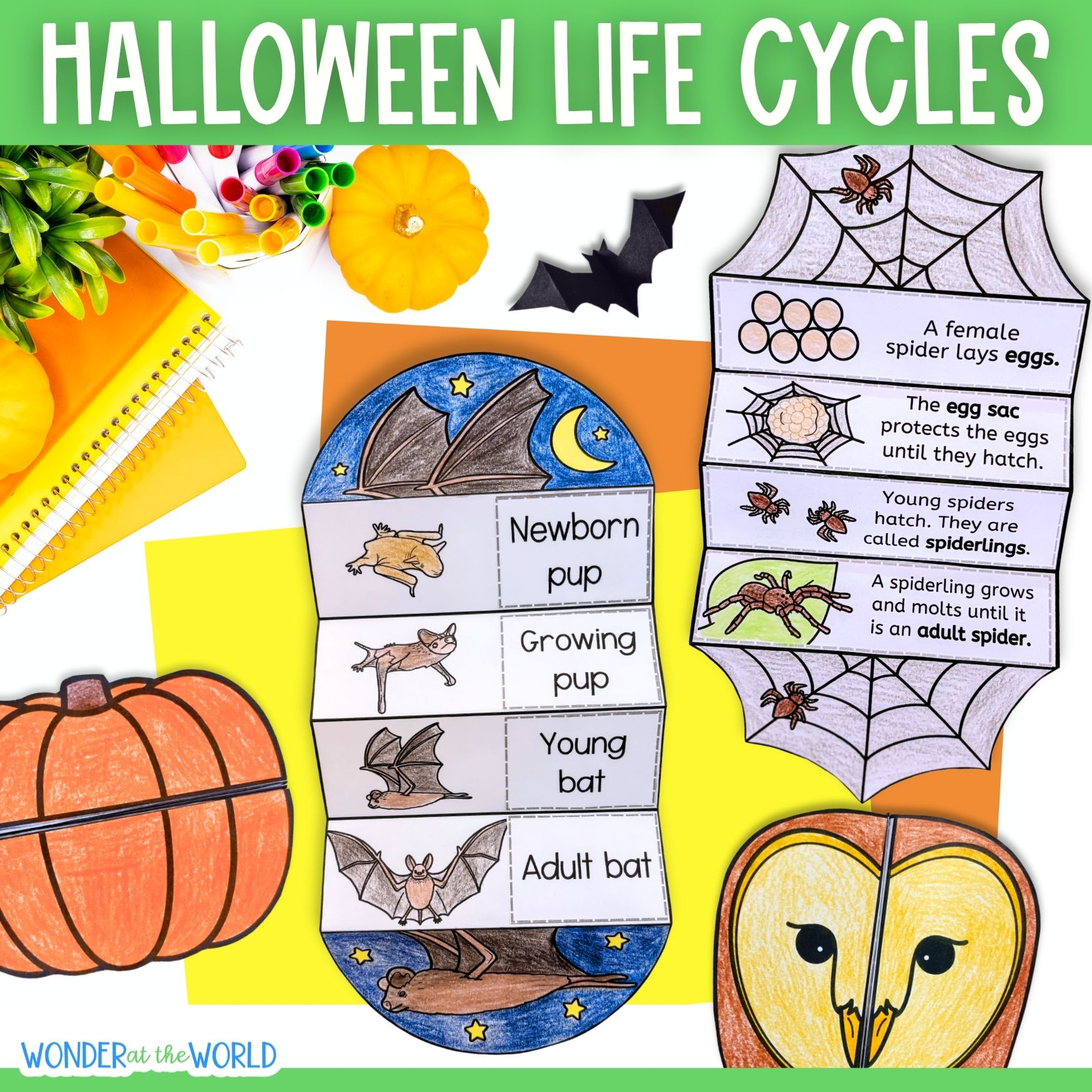 Halloween life cycle sequence and fold activities - pumpkin spider owl and bat