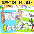 Life cycle of a honey bee sequence and fold science craft activity