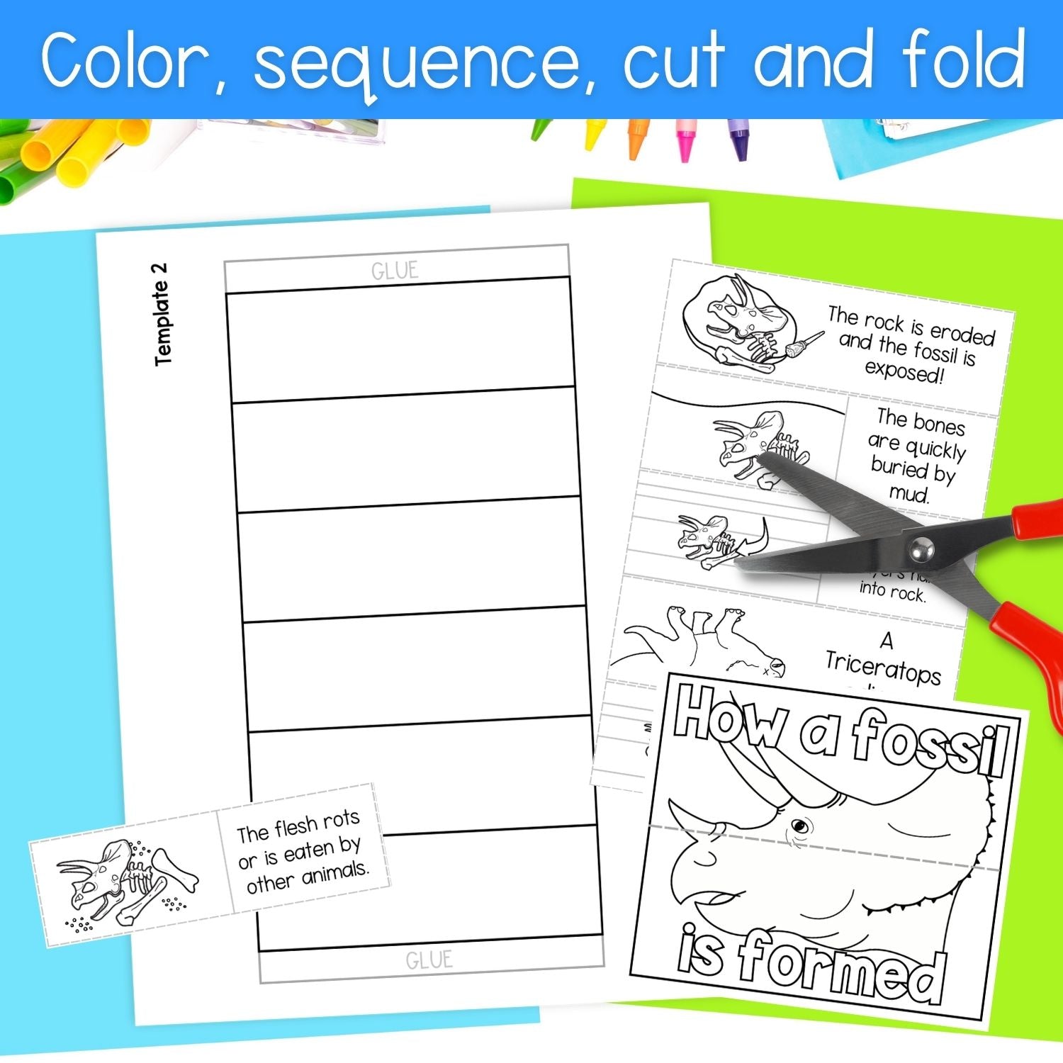 How a dinosaur fossil is formed sequence and fold science activity - Triceratops
