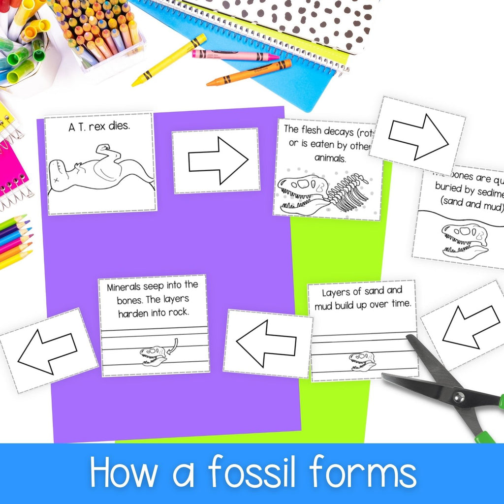Fossils worksheets, activities, sorting, types of fossil