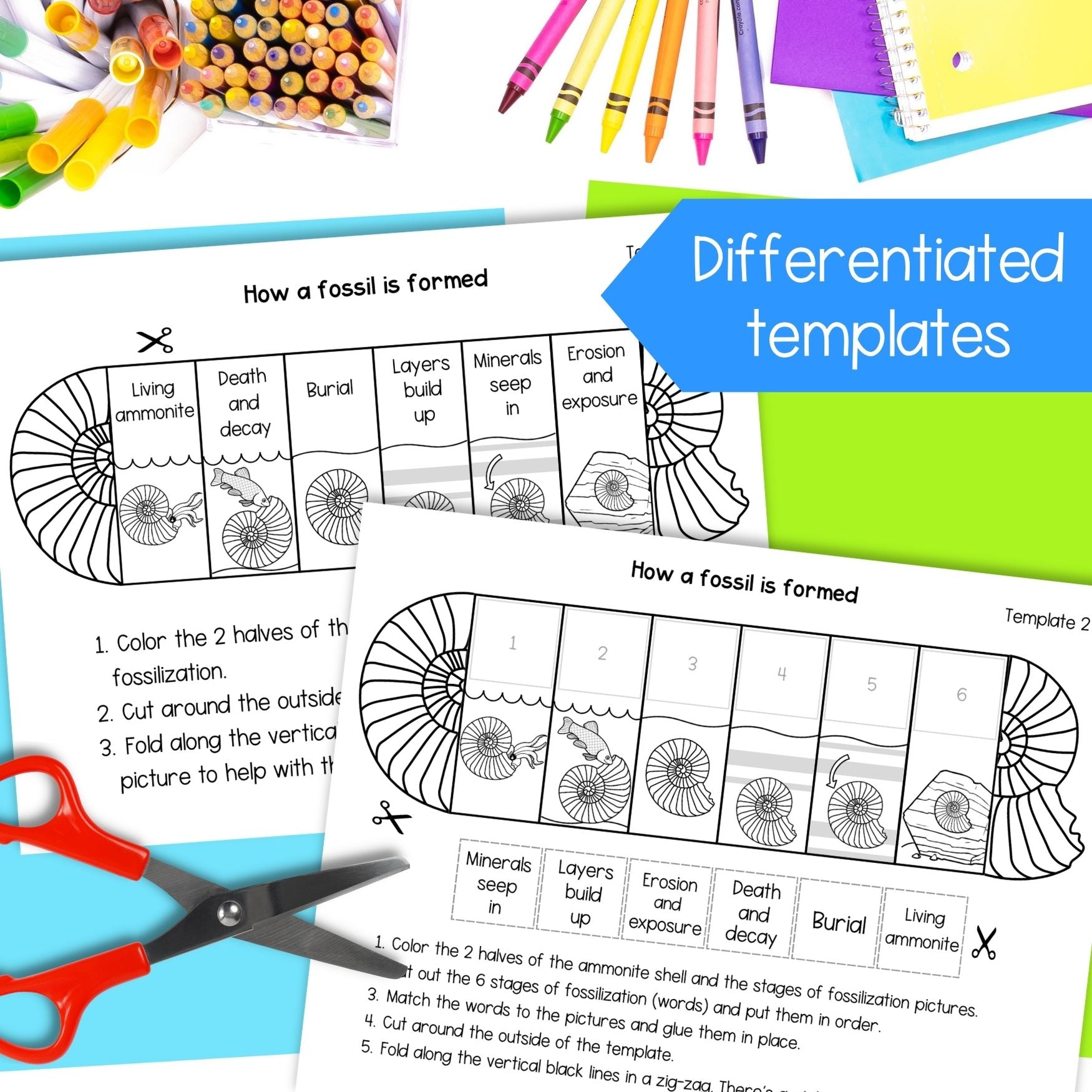 How a fossil is formed sequence fold cut and paste science craft activity