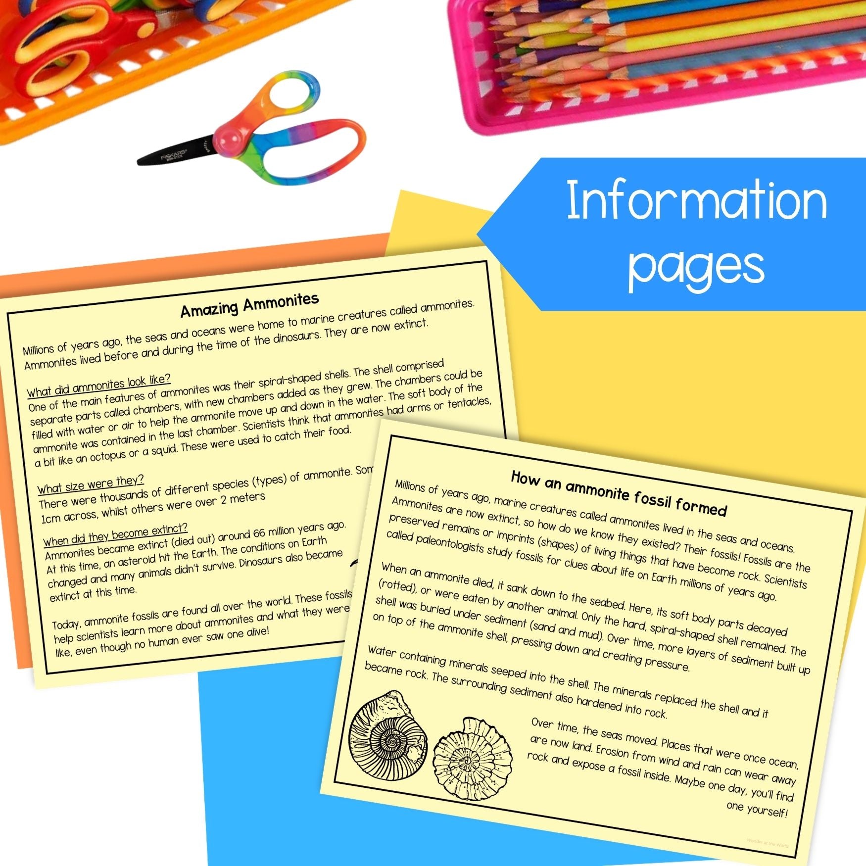 How a fossil is formed sequence fold cut and paste science craft activity