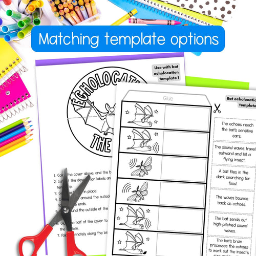 A flat-lay preview of a printable matching worksheet template for bat echolocation, shown with colored pencils, scissors, and notebooks. The main product is a black-and-white printable page with a circular bat illustration and matching text boxes, under a blue banner reading 'Matching template options'.