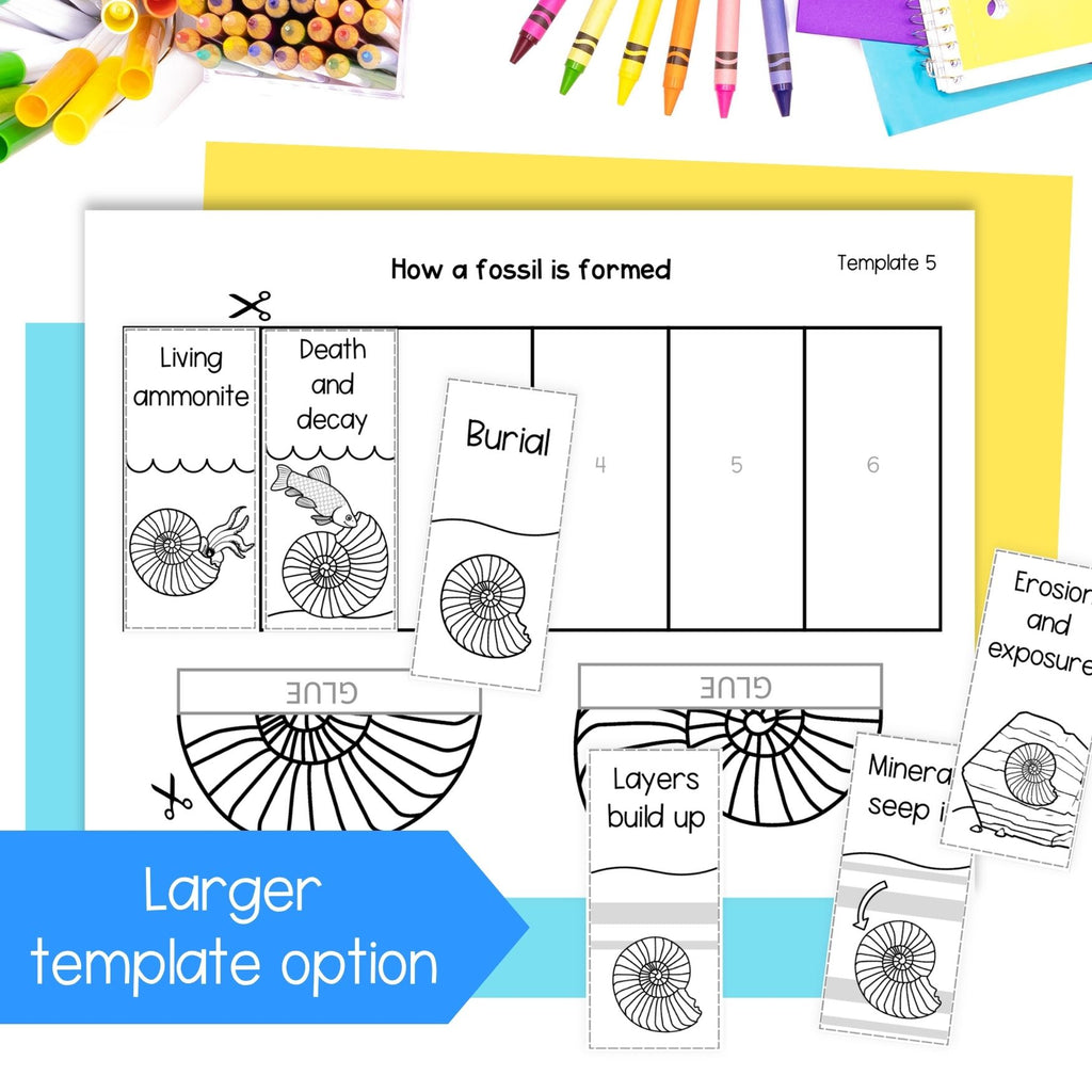 How a fossil is formed sequence fold cut and paste science craft activity