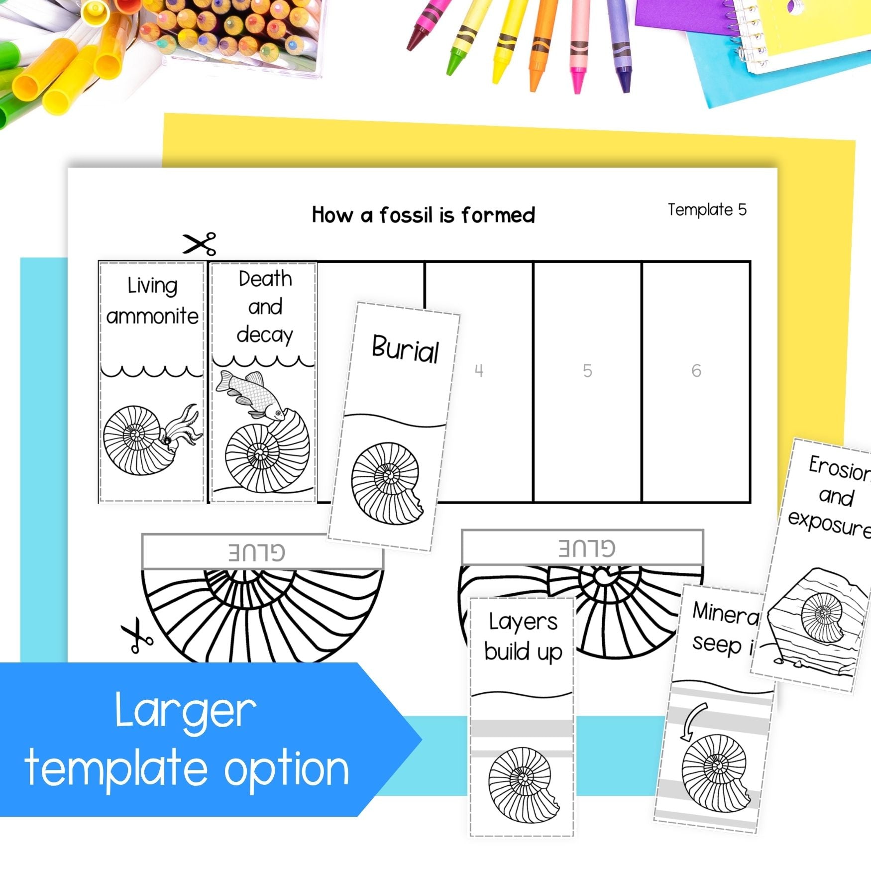 How a fossil is formed sequence fold cut and paste science craft activity