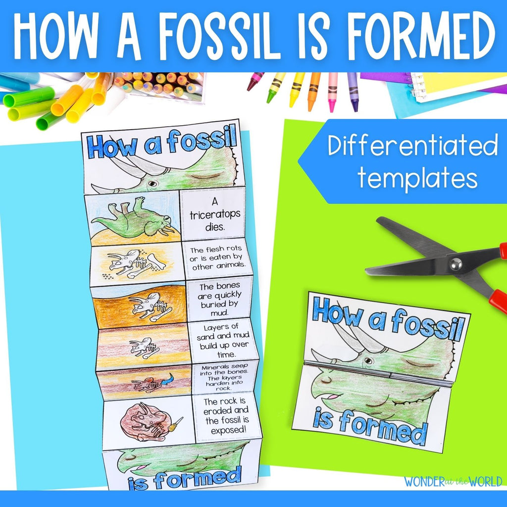 How a dinosaur fossil is formed sequence and fold science activity - Triceratops