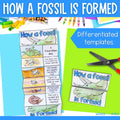 How a dinosaur fossil is formed sequence and fold science activity - Triceratops