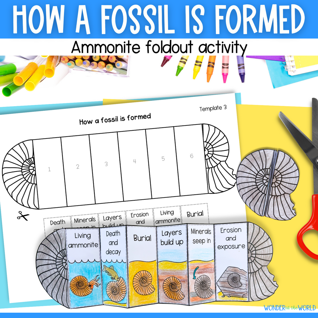 How a fossil is formed sequence fold cut and paste science craft activity