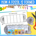 How a fossil is formed sequence fold cut and paste science craft activity