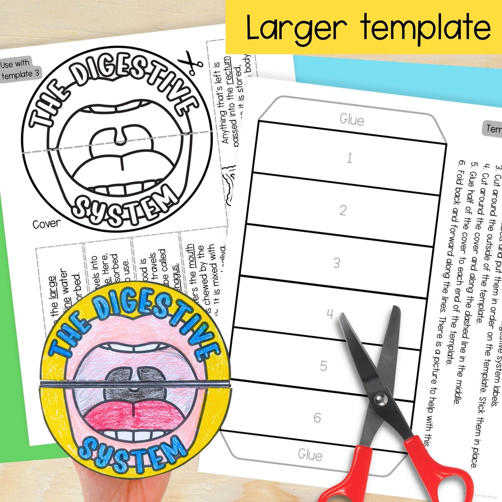 The digestive system sequence and fold science craft activity - mouth