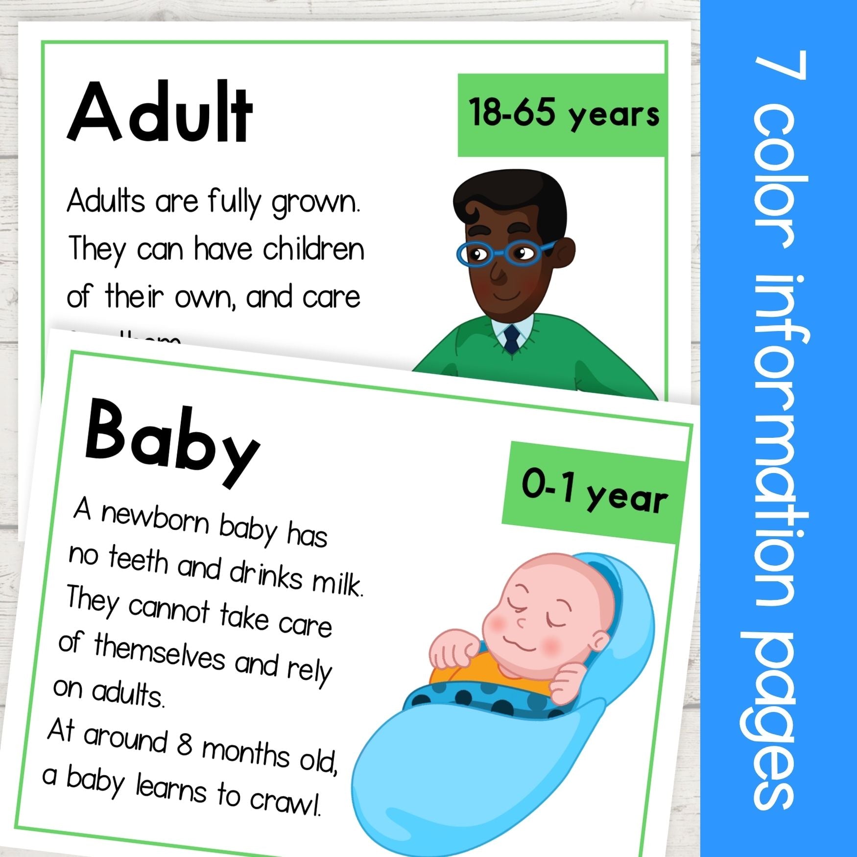 Human life cycle stages of growth development sequencing activity & posters