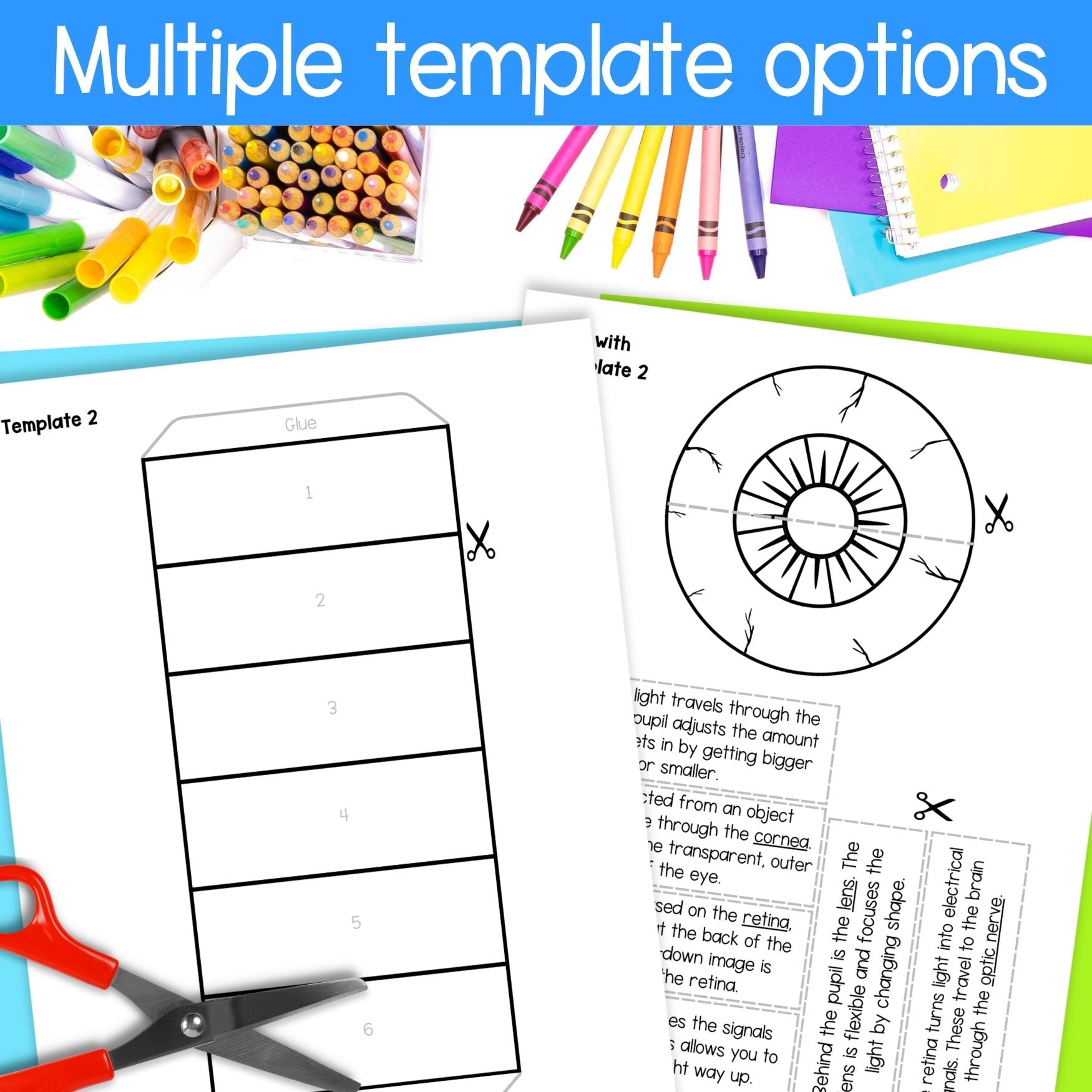 Human eye foldouts & parts of the eye activity for interactive science notebooks