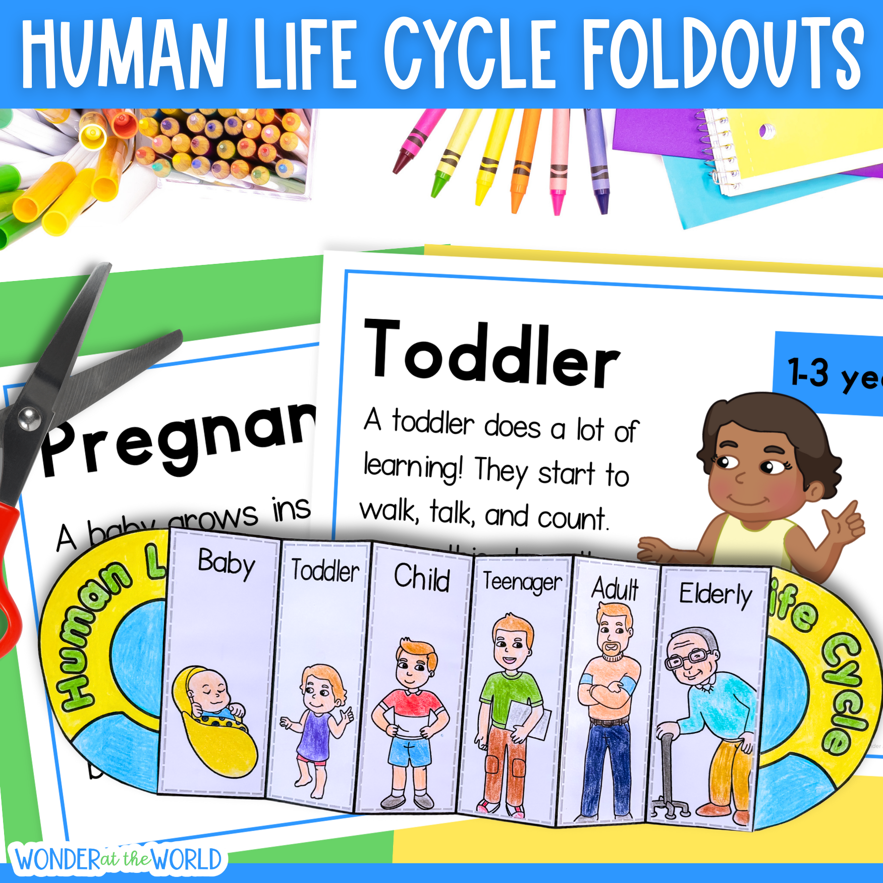 Human life cycle stages of growth development sequencing activity & posters