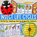 Insect life cycle sequencing crafts bundle - butterfly, ladybug/ladybird, dragonfly, honey bee