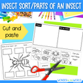 Insect bug sort cut and paste and body parts of an insect