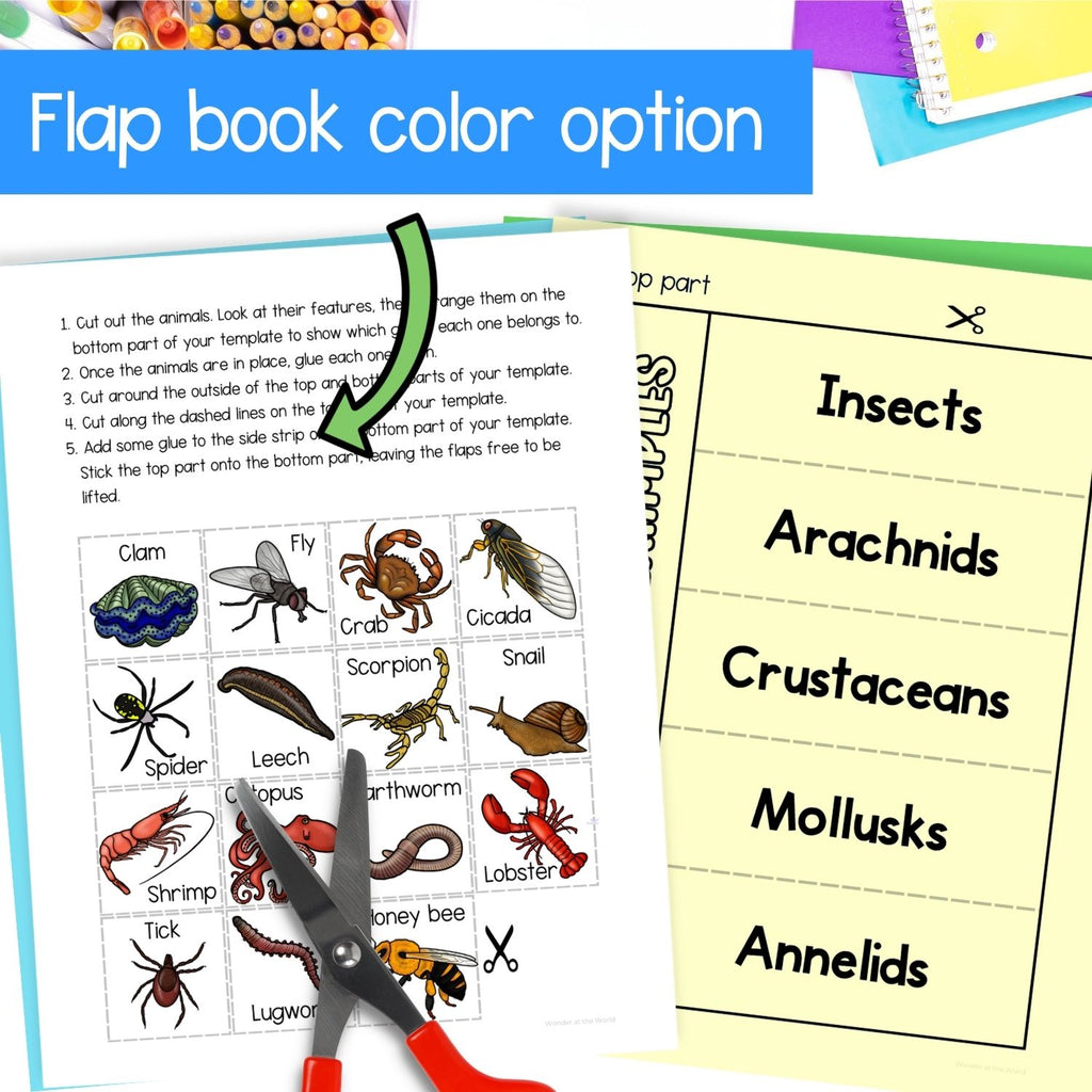 Invertebrates bugs insects classification cut and paste activities for interactive notebooks