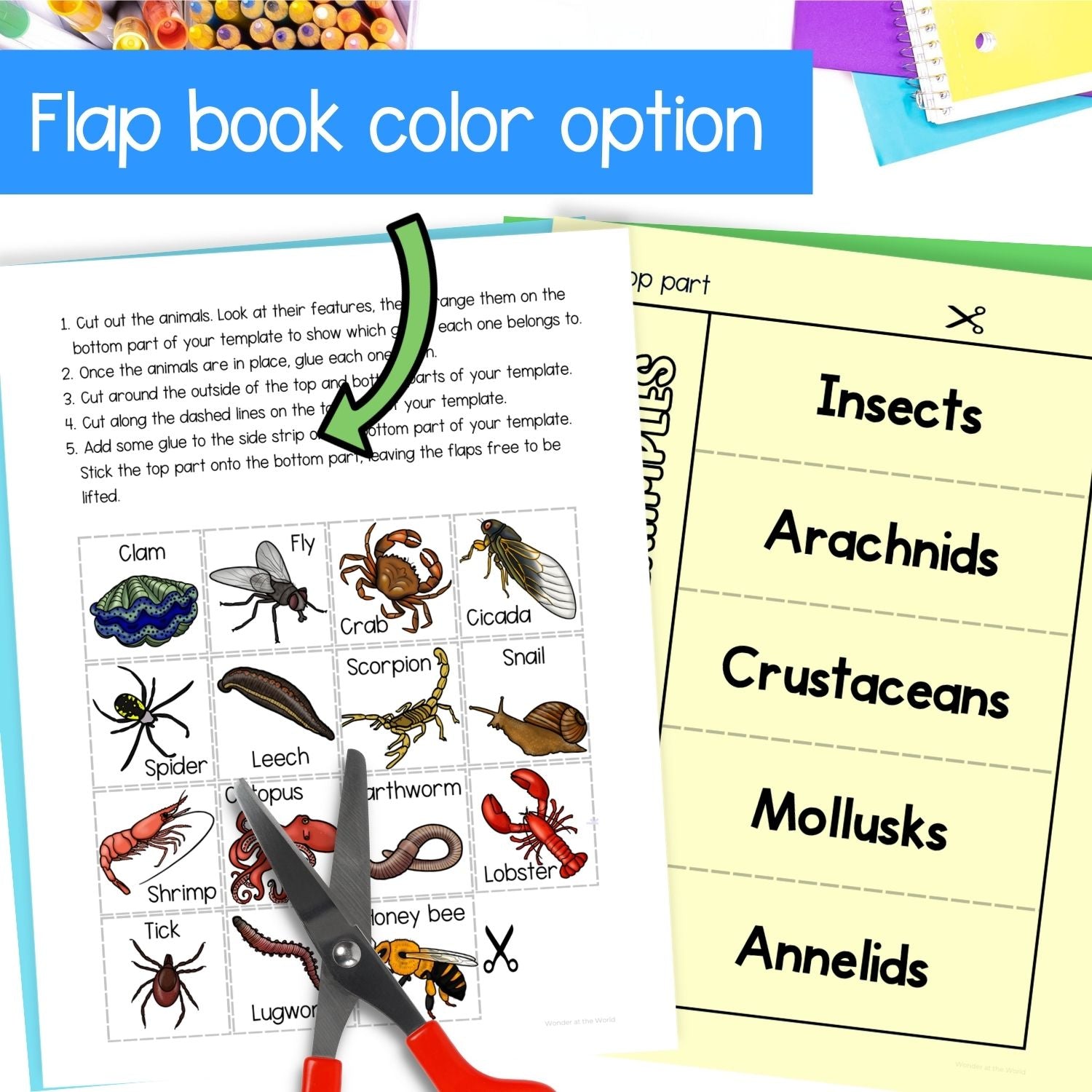 Invertebrates bugs insects classification cut and paste activities for interactive notebooks