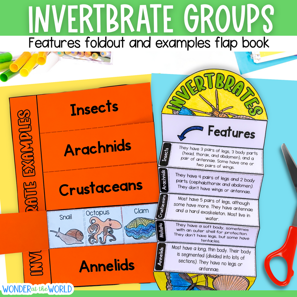 Invertebrates bugs insects classification cut and paste activities for interactive notebooks