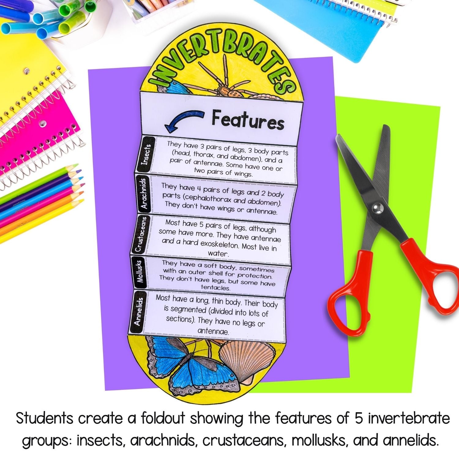 Invertebrates bugs insects classification cut and paste activities for interactive notebooks