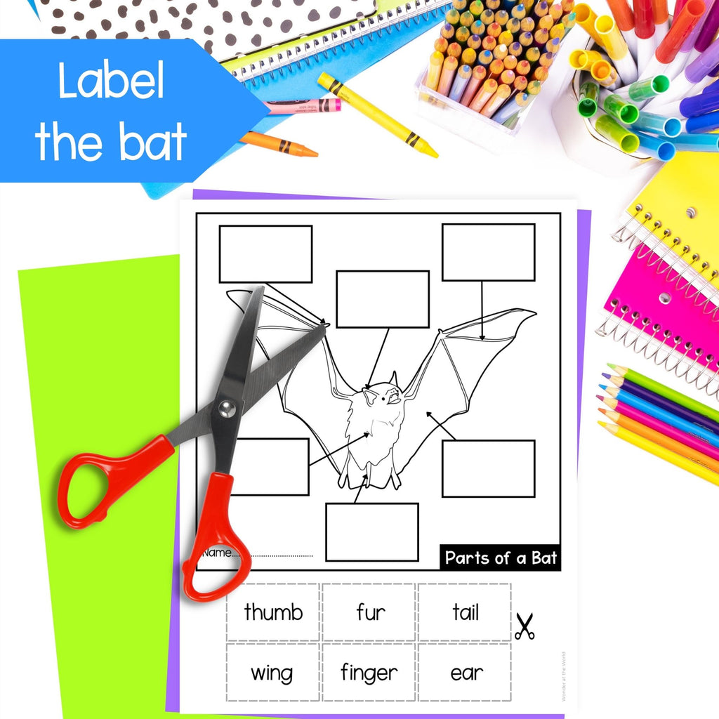 Life cycle of a bat mammal sequence and fold science craft activity