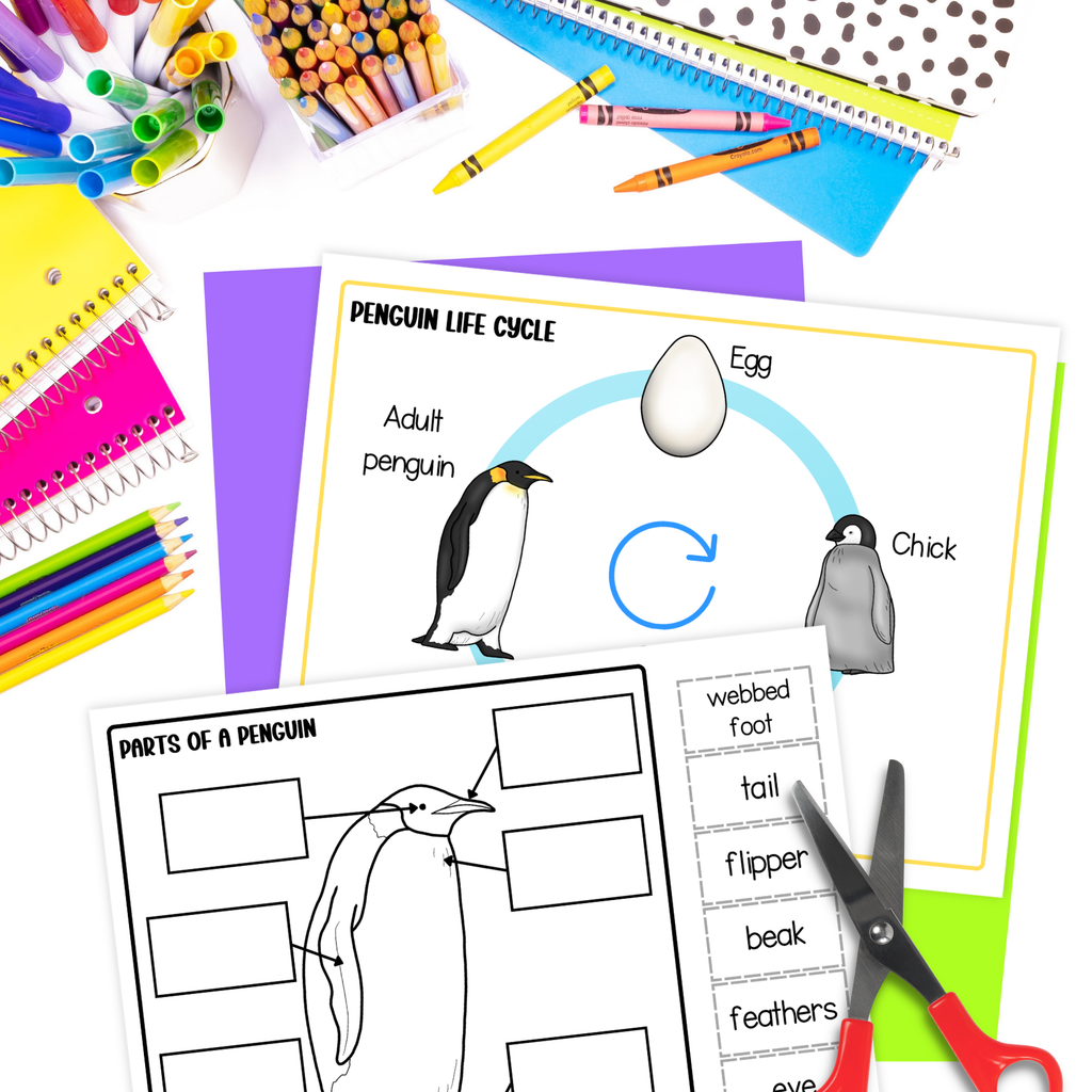 Life cycle of a penguin sequence and fold science craft activty
