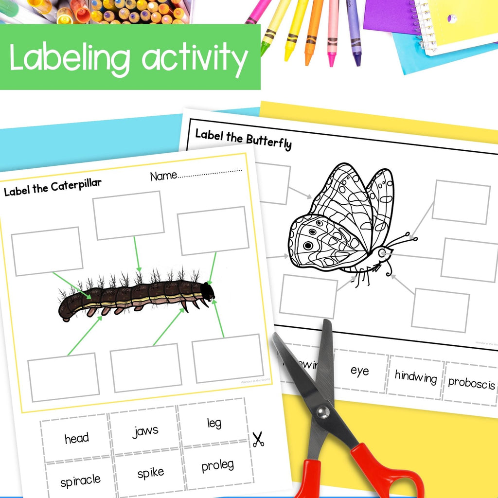 Painted lady butterfly caterpillar life cycle observation journal worksheets