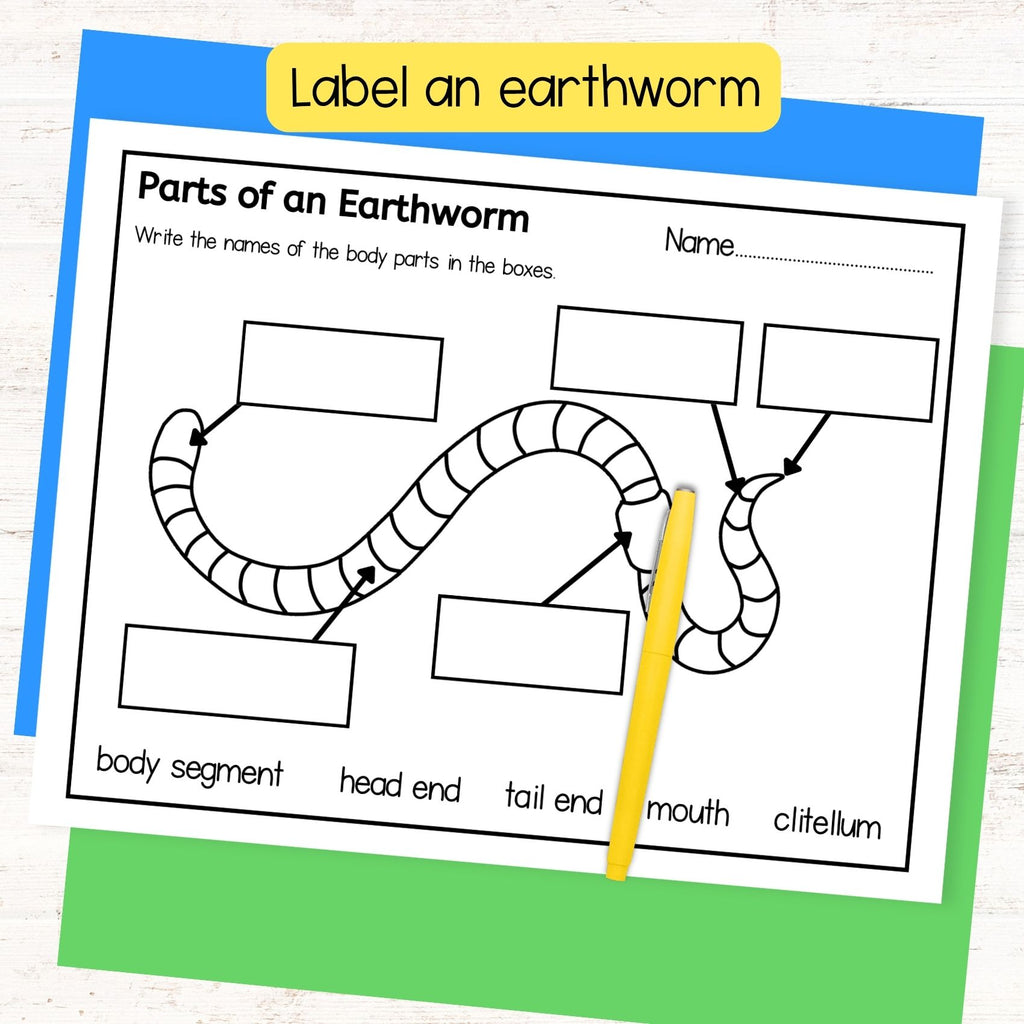Earthworm life cycle sequence and fold science craft activity