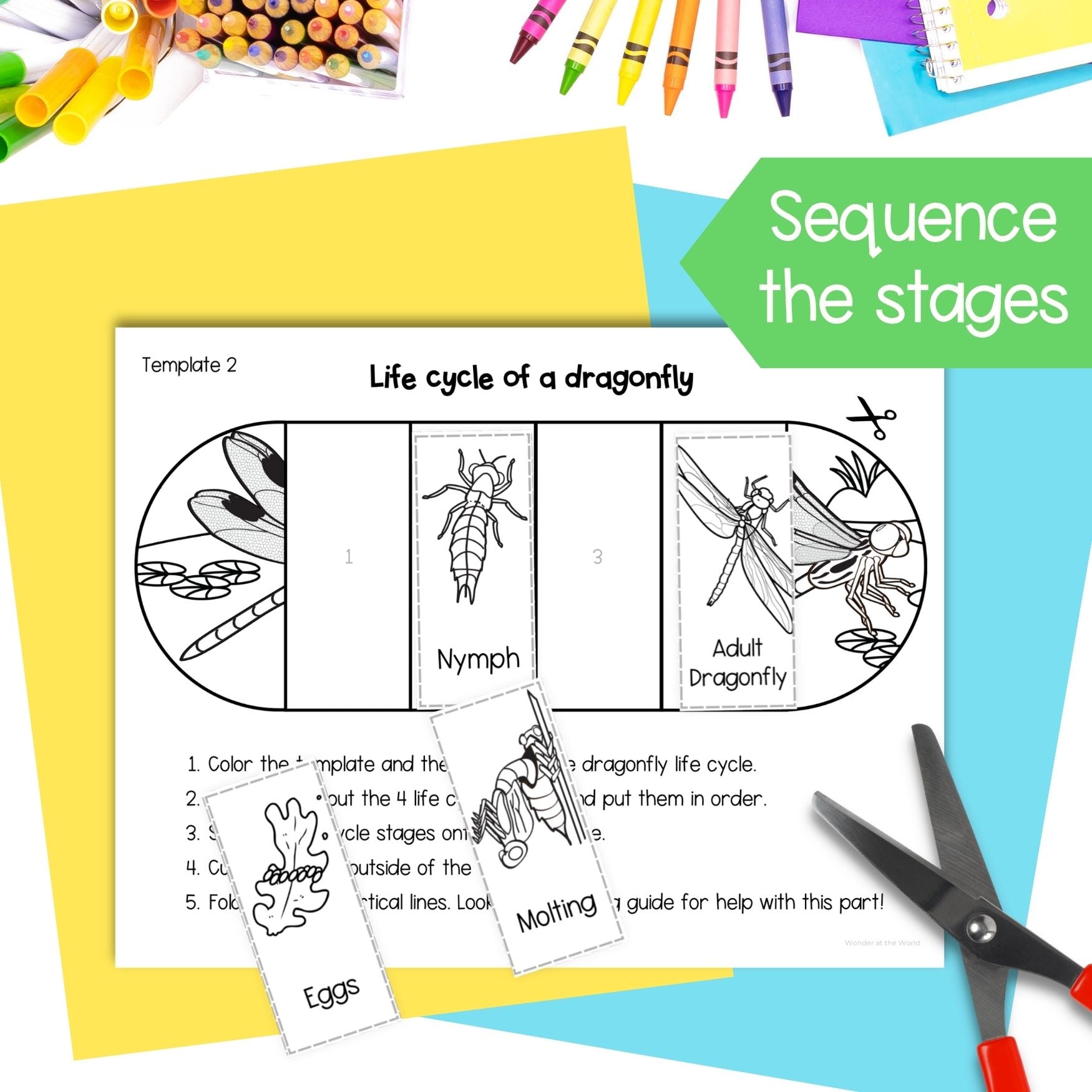 Dragonfly life cycle sequence and fold science craft activity