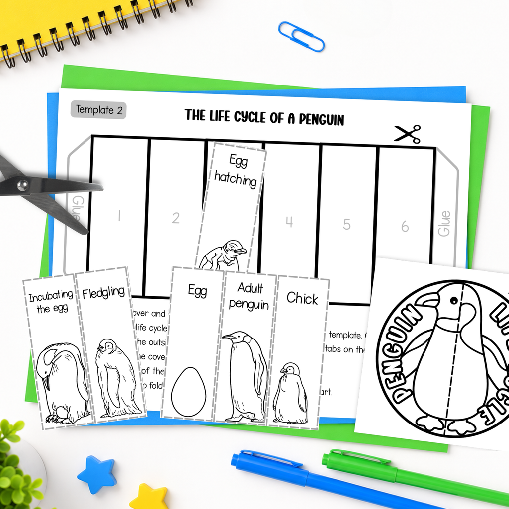Life cycle of a penguin sequence and fold science craft activty