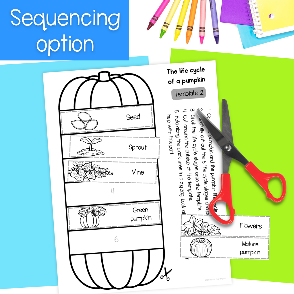 A sequencing activity sheet about the life cycle of a pumpkin, shown with red-handled scissors on a bright green background. The sheet includes labeled pumpkin life-cycle panels: seed, sprout, vine, green pumpkin, flowers, and mature pumpkin.