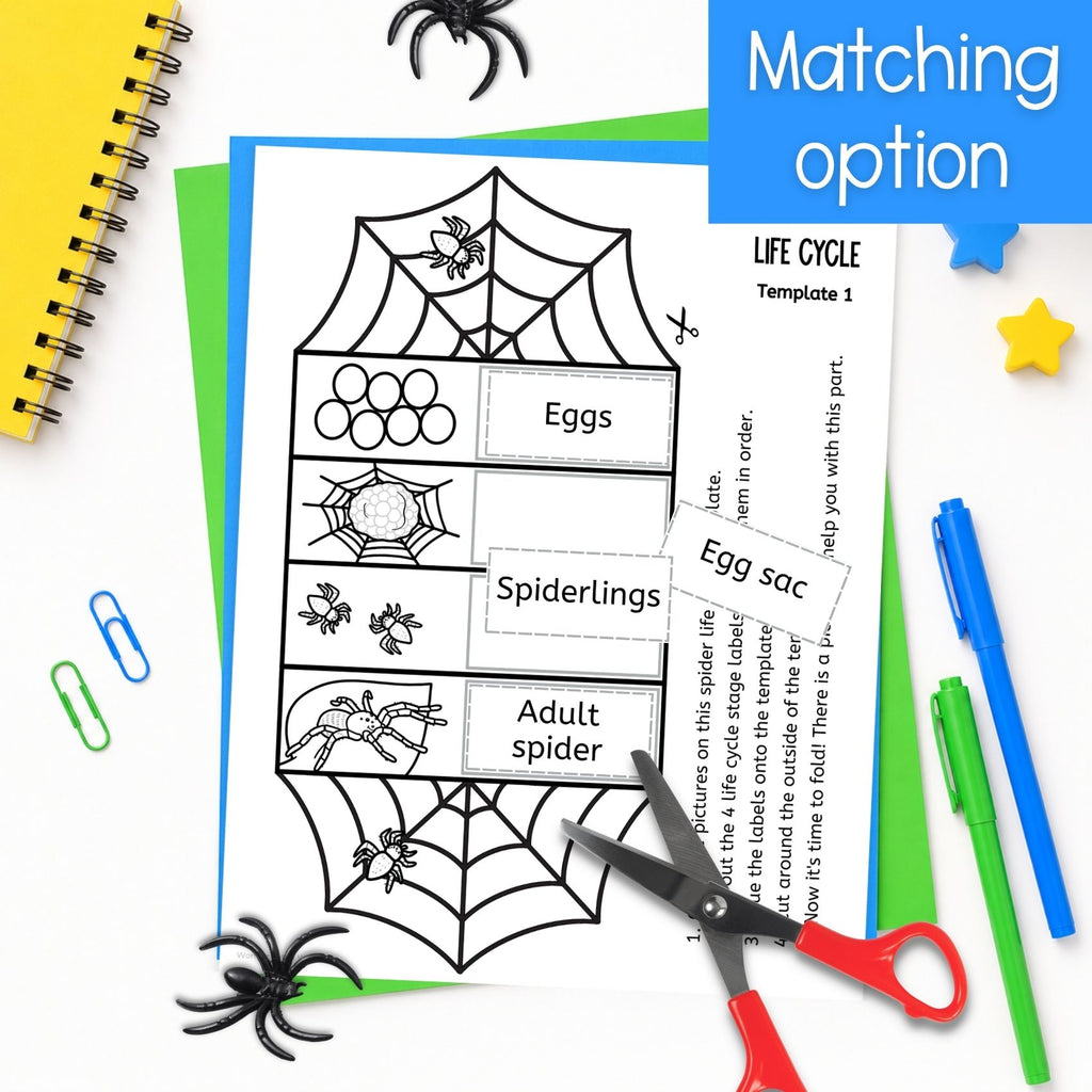 Life cycle of a spider sequence and fold science craft