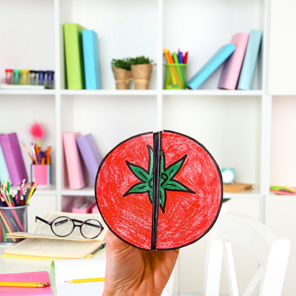 Tomato plant life cycle sequence and fold activity summer cut and paste craft