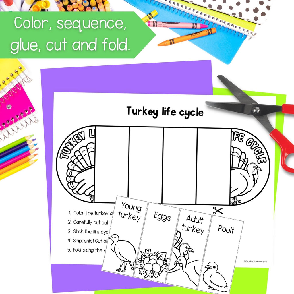 Wild turkey life cycle sequence and fold bird science craft activity