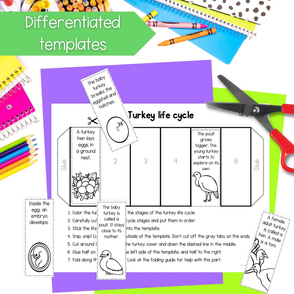 Wild turkey life cycle sequence and fold bird science craft activity
