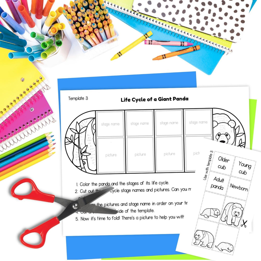 Giant panda life cycle sequence and fold science craft activity