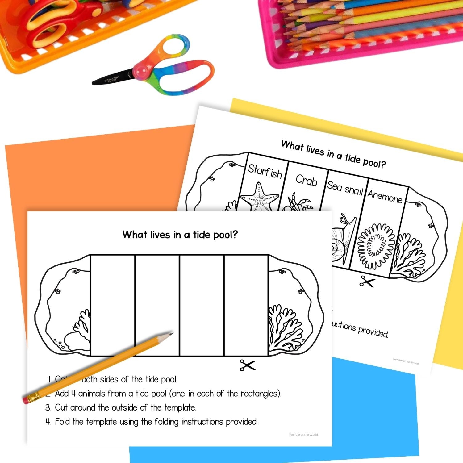 Animal Microhabitats science foldout activity