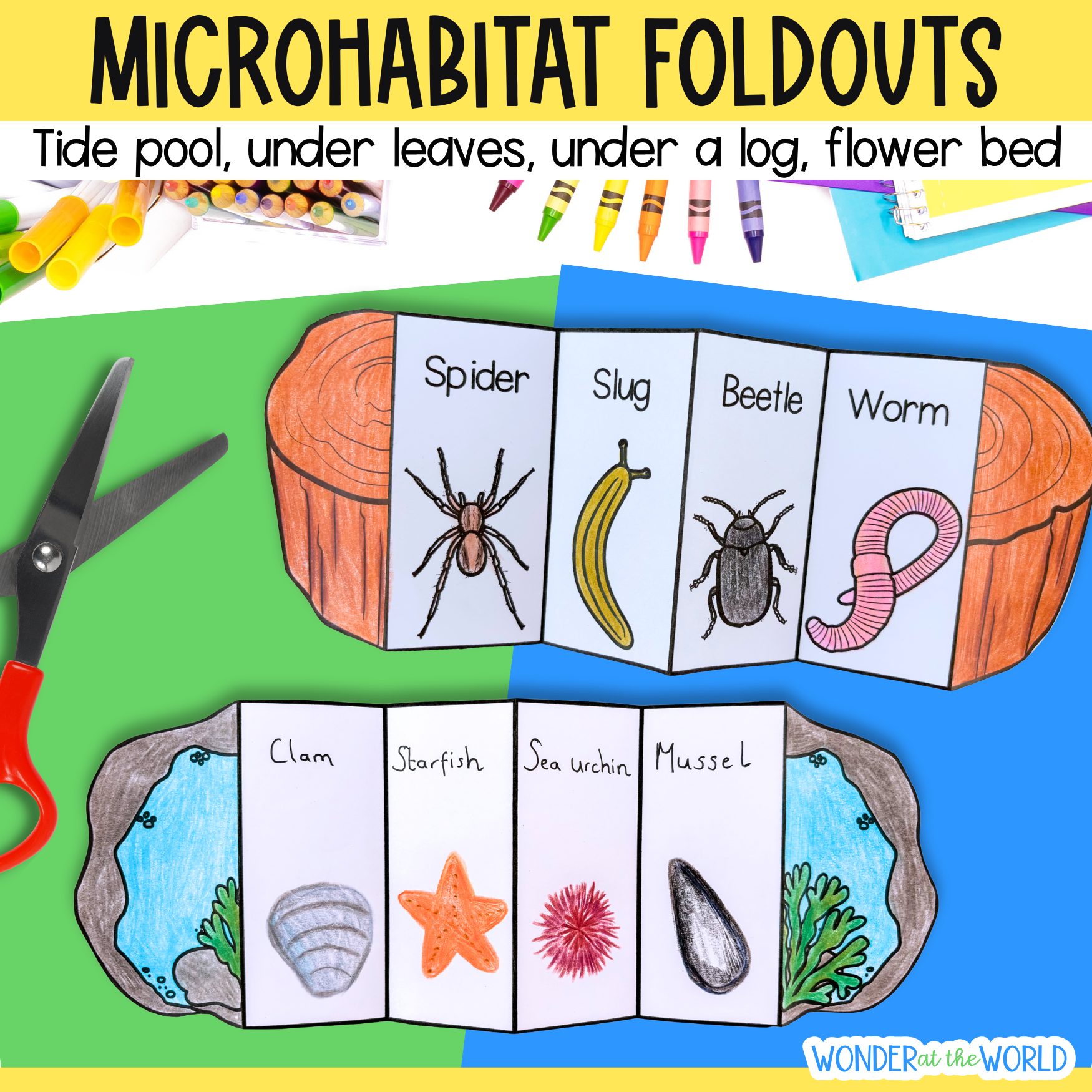 Animal Microhabitats science foldout activity
