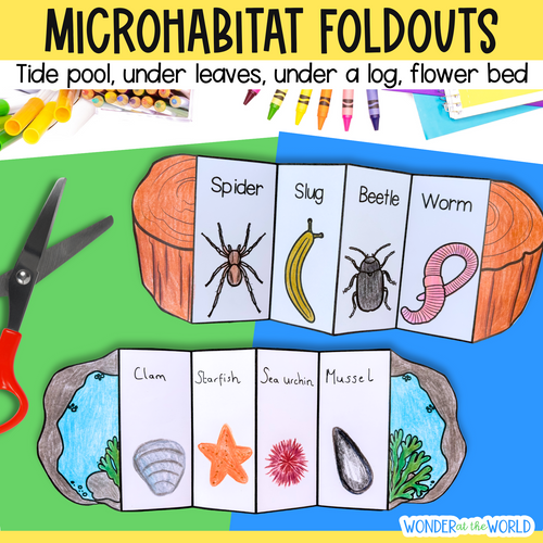 Educational craft activity sheet titled 'MICROHABITAT FOLDOUTS' showing two fold-out paper habitats: one with animals from under a log (Spider, Slug, Beetle, Worm) and one with tide pool/rock pool animals (Clam, Starfish, Sea urchin, Mussel). The sheet includes a green and blue background with scissors, crayons, and a 'Wonder at the World' logo.
