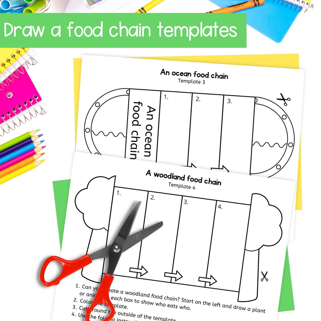Food chains sequence and fold craft activity woodland ocean rainforest habitats