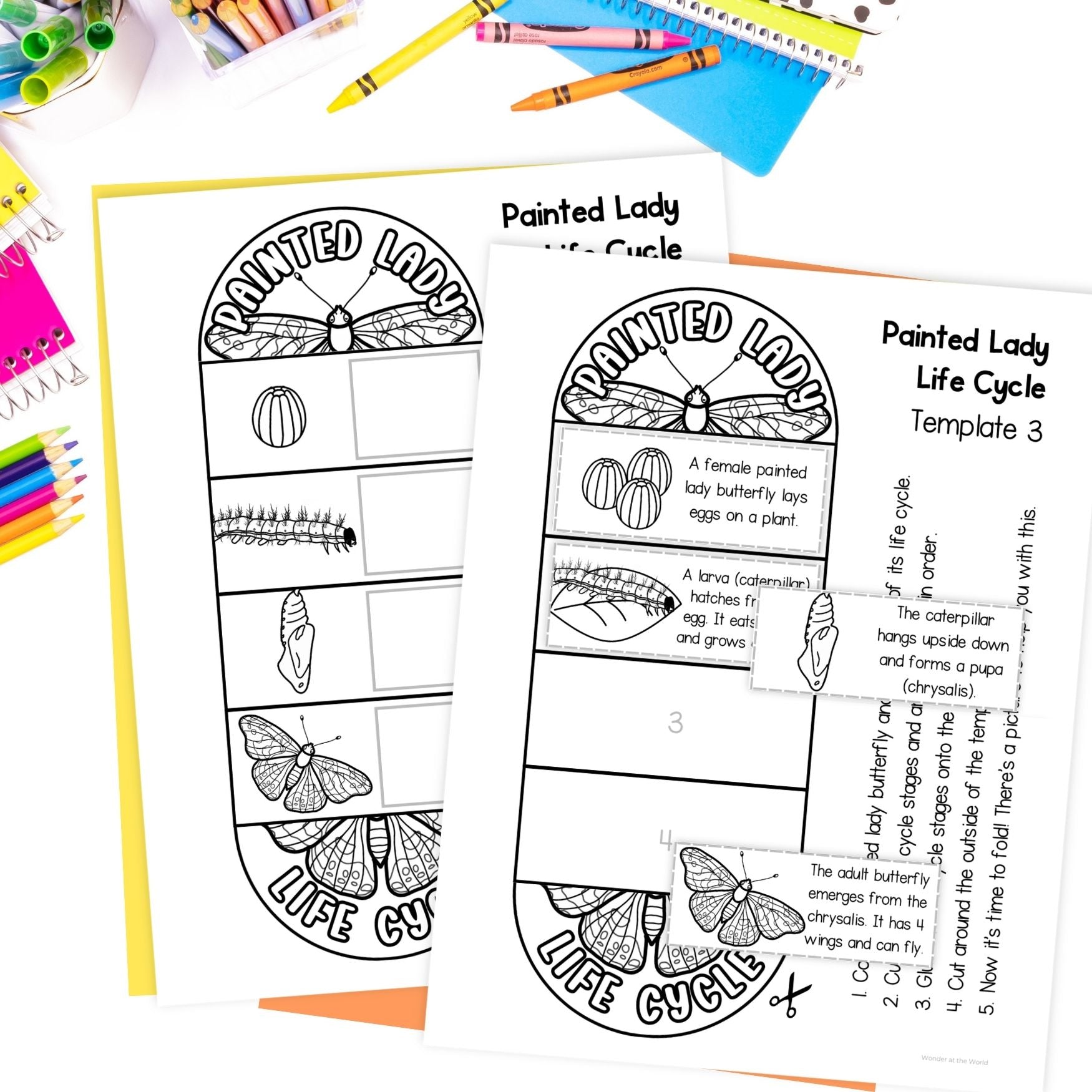 Painted lady butterfly caterpillar life cycle observation journal worksheets