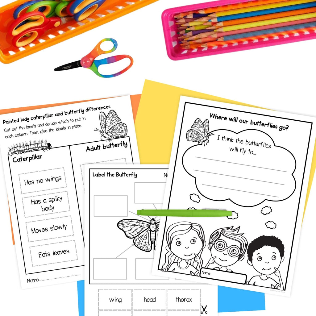 Painted lady butterfly caterpillar life cycle observation journal worksheets