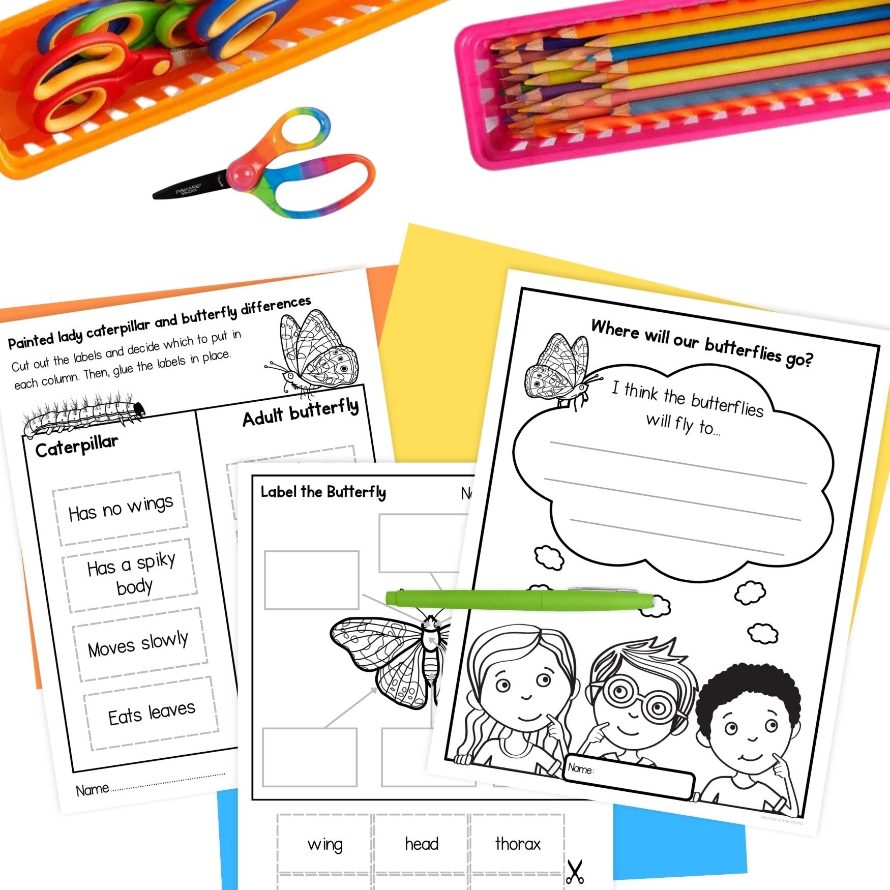 Painted lady butterfly caterpillar life cycle observation journal worksheets